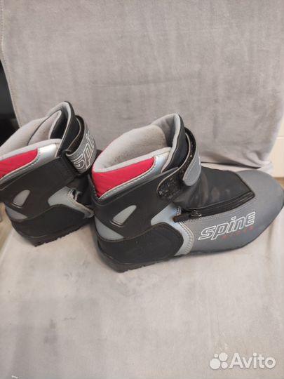 Лыжные ботинки spine rider 37 размер