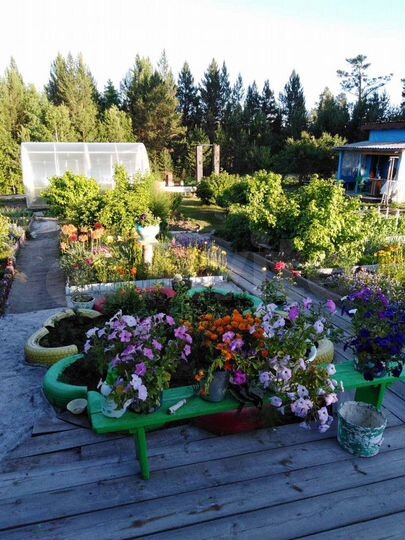 Дача 36 м² на участке 12 сот.