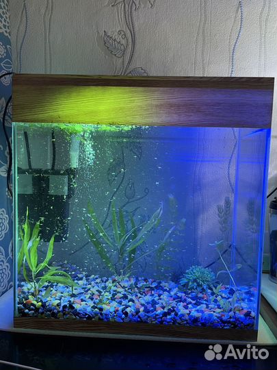 Аквариум 37 л + фильтр, свет и грунт