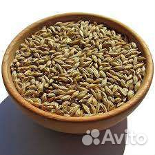 Продам ячмень