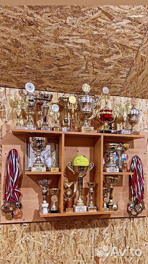 Тренер по большому теннису