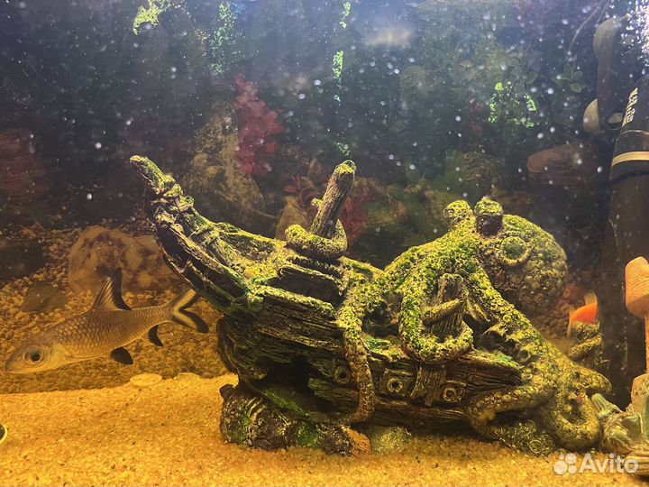 Аквариум 80 литров и тумба