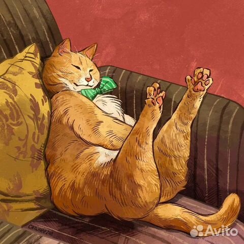 Передержка кошек