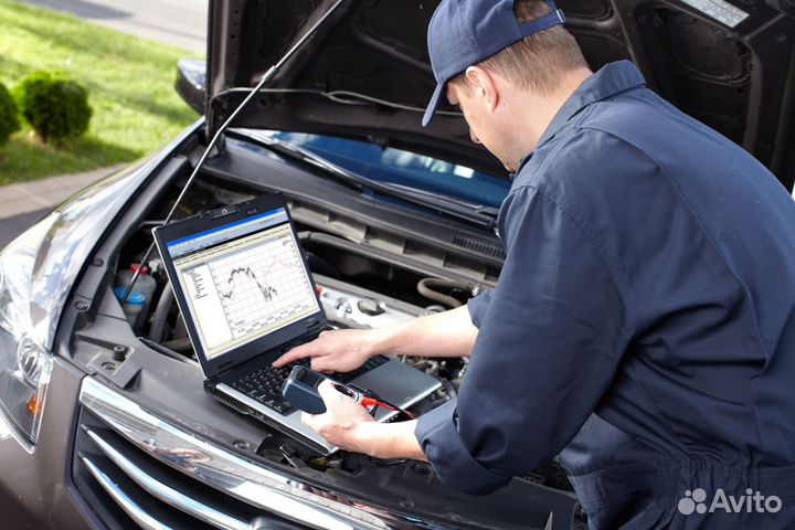 Образование,курсы