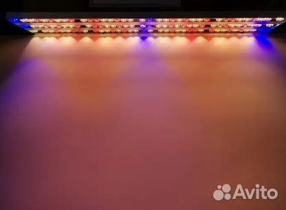 Фитолампа quantum board полный спектр 240 Вт