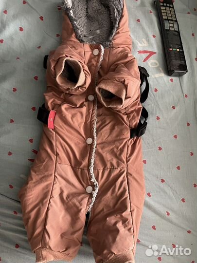 Комбинезон для собаки девочки