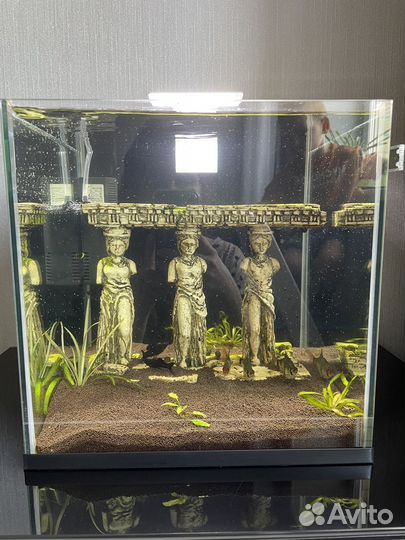 Аквариум с рыбками