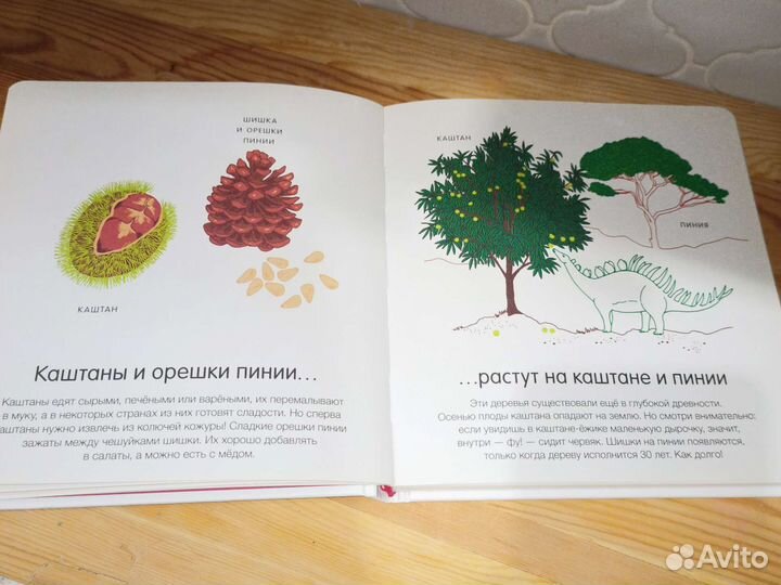 Детская книга 