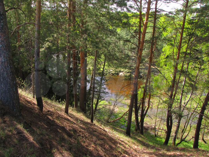 Участок 1,05 га (СНТ, ДНП)