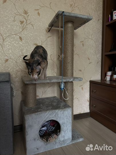 Домик для кошки