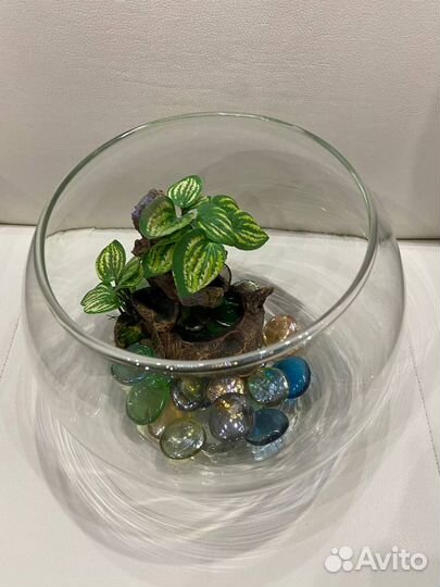 Аквариум для рыб круглый