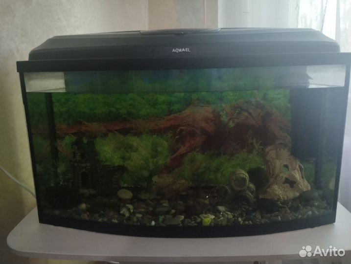 Аквариум с тумбой