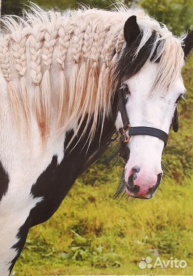 Фигурка жеребец новая