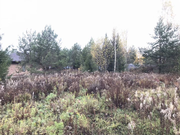 Участок 10 сот. (ИЖС)