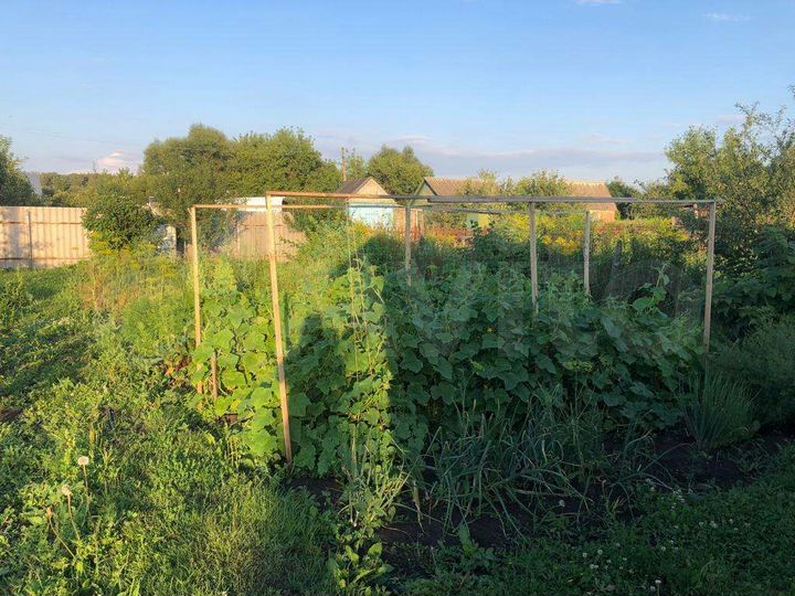 Дача 21 м² на участке 4 сот.