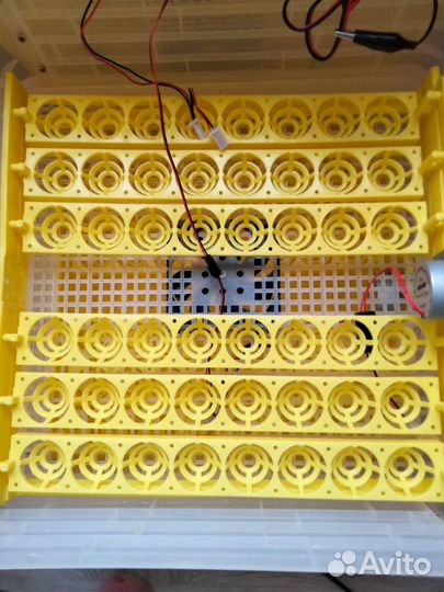 Инкубатор на 96 яиц