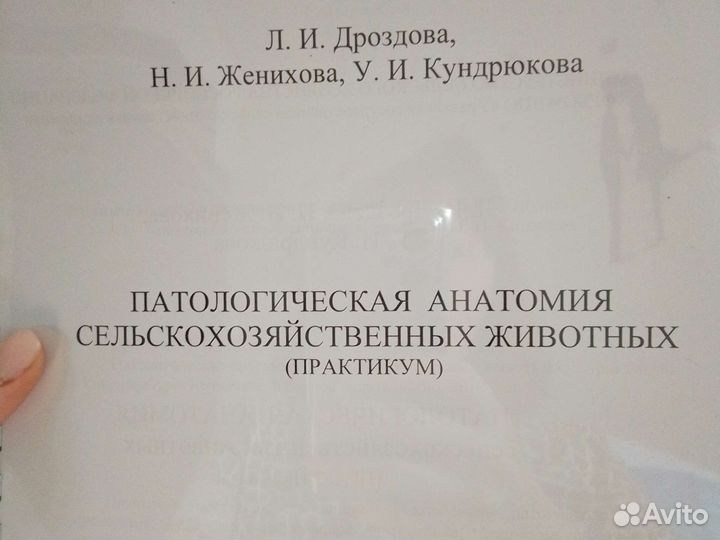 Патологическая анатомия