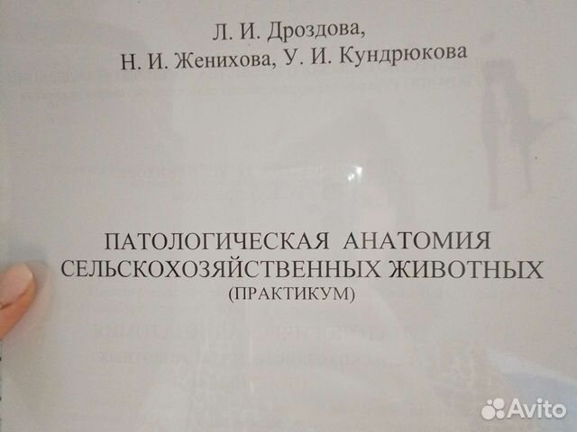 Патологическая анатомия