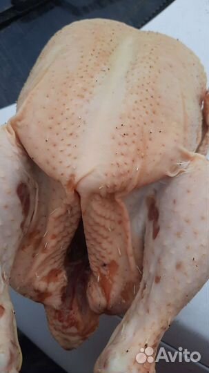 Мясо бройлера оптом