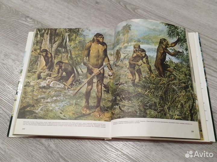 История жизни на земле Артия