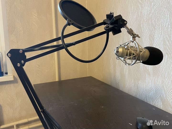 Микрофон студийный Recording Tools MCU-01