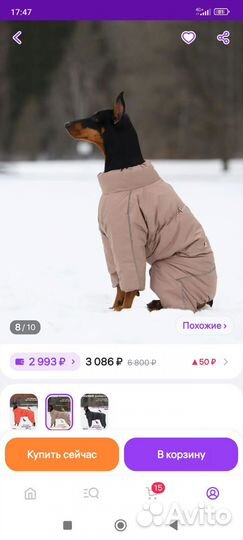 Комбинезон демисезонный