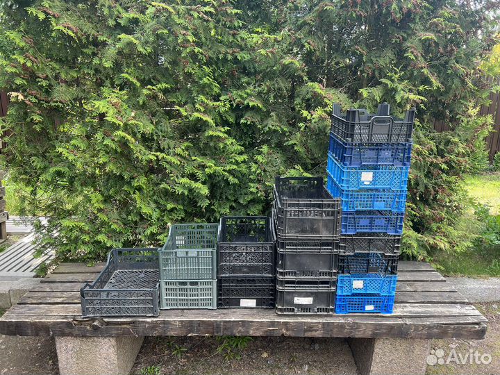 Ящики для рассады