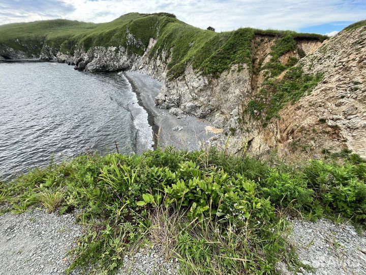 Тур на п-в Гамова, тюлени и пляж с чёрным песком