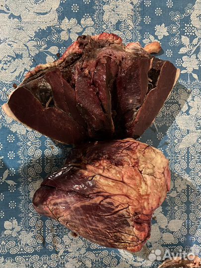 Мясо корм для собак. Корм для животных