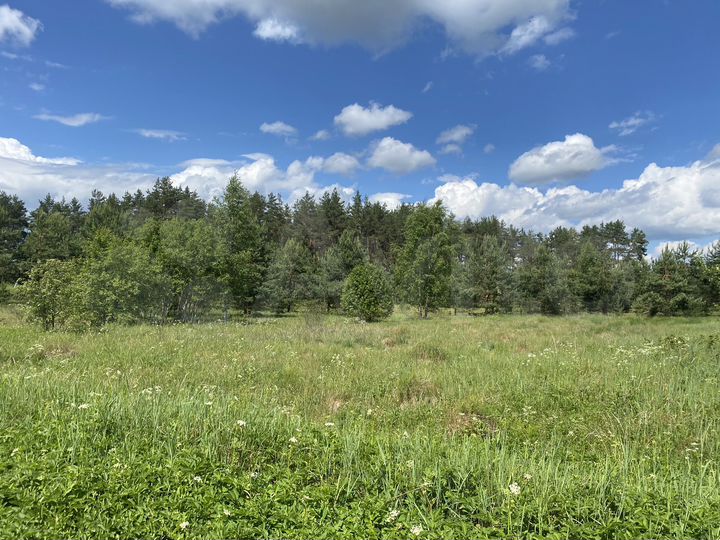 Участок 40 сот. (СНТ, ДНП)