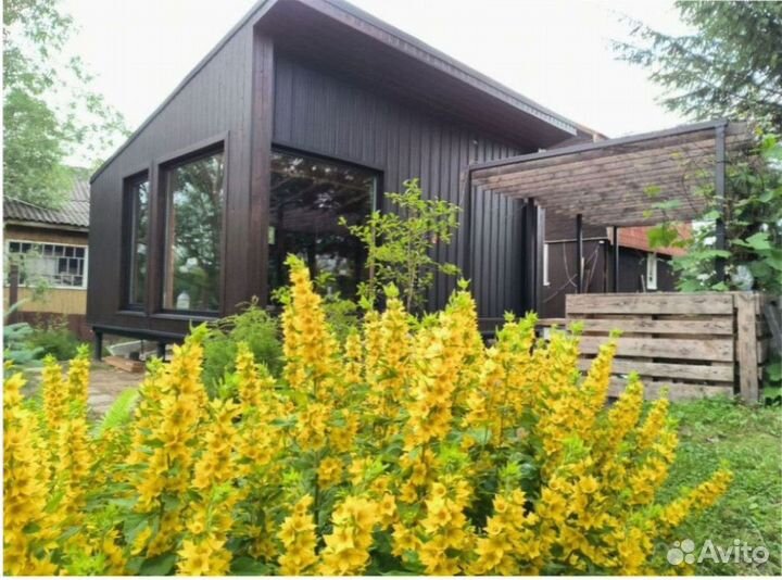 Модульный дом с доставкой 40 м кв, арт. дм-2725