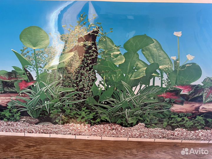 Аксессуары для аквариума