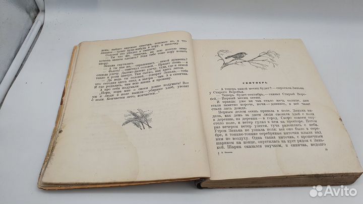 Бианки В.В. Лесные были и небылицы. Рисунки В. Кур
