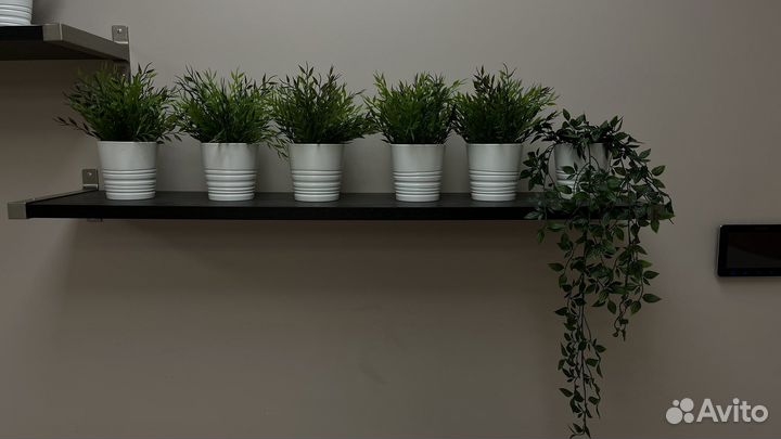 Декоративный куст в горшке IKEA