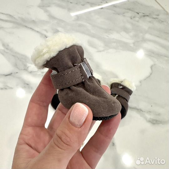 Обувь для собак