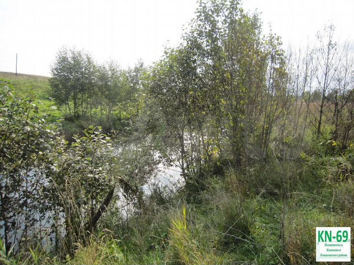 Участок 3,2 га (СНТ, ДНП)