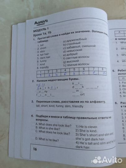 Английский в фокусе Сборник упражнений 4 класс