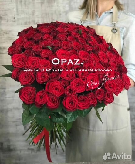 Розы Эквадор 101 51 25 15роз Бесплатная доставка