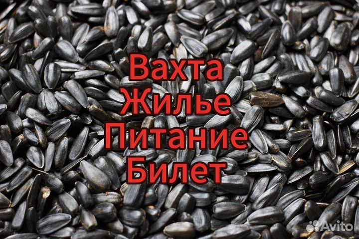 Упаковщик семечек вахта в Москве оплата билета