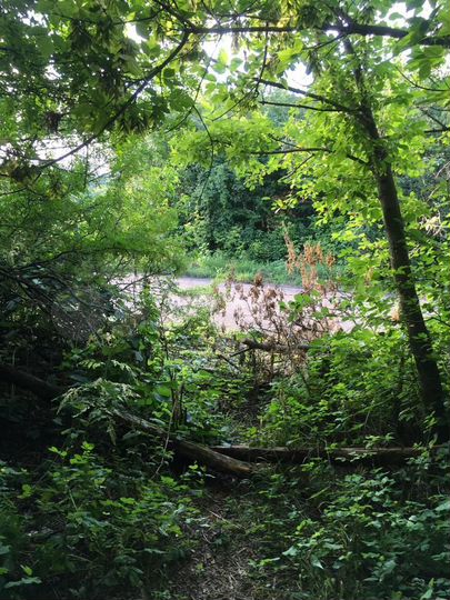 Участок 44 сот. (ИЖС)