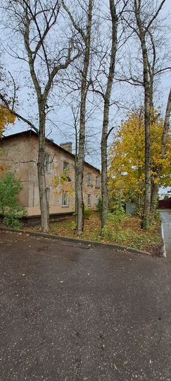 2-к. квартира, 54,8 м², 1/2 эт.