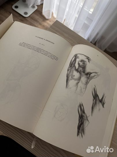 Енё Барчаи анатомия для художников