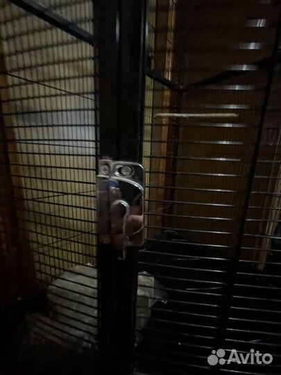 Большая клетка для попугая и птиц