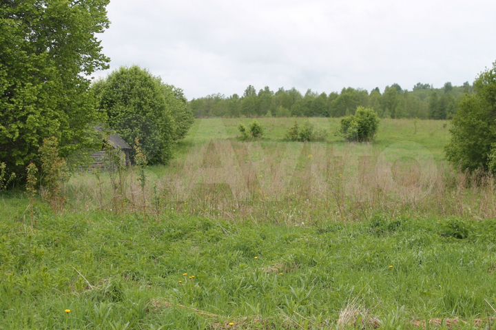 Участок 30 сот. (ИЖС)