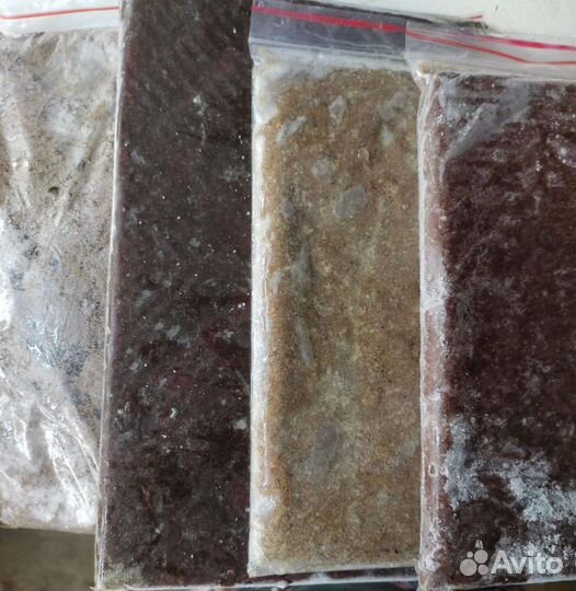 Замороженный корм для рыбок