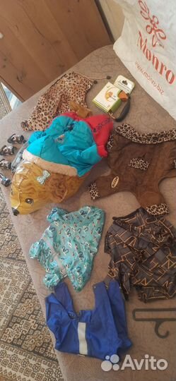 Одежда для маленьких пород собак