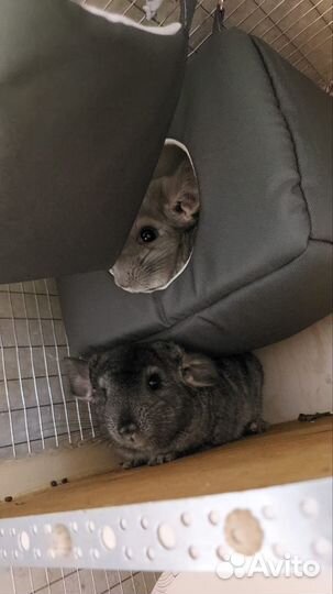 Домик для грызунов