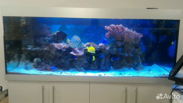 Обслуживание аквариумов