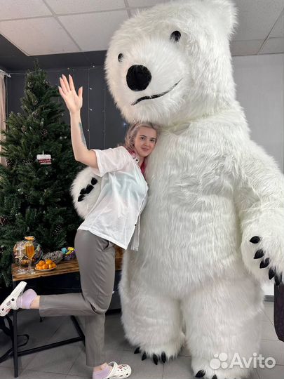 Белый Мишка Тёма и Панда Стёпа Поздравление