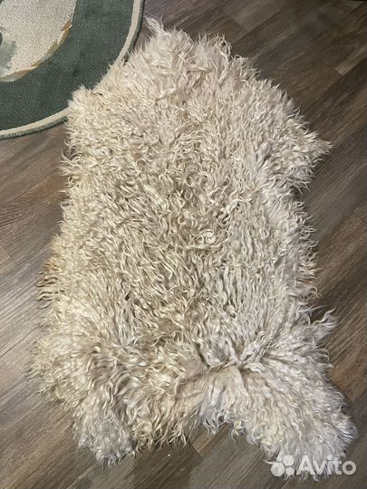 Шкуры животных